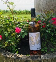 Domaine du Buisson - Vin rosé AOP Bordeaux - 2025 - 1x75cl