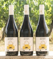 Domaine la Paganie - Vin rouge nature – Démarrage en COT –  3 bouteilles