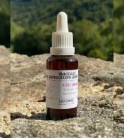 Lou Codou, microferme du Caillou - Mâcérat de bourgeons : Exit anxiété - 30ml