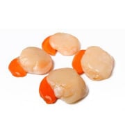 Ma poissonnière - Noix De Saint Jacques - Lot De 2 Kg