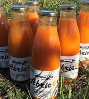 Délit de Gourmandise - Nectar d'Abricots Bio - 6x75cl
