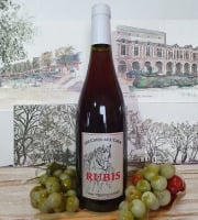 Cave Creuzet - Les Caves aux Caux - AOC Coteaux du Vendômois Rouge "Rubis Trotte Putain" 2024 - Lot de 6