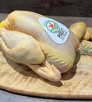 Charcuterie Commenges - [Précommande] 3 Poulet Entier Fermier BIO - 3 x 1.7 kg