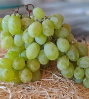 Les Jardins de Gérard - Raisin blanc Bio - 400 g