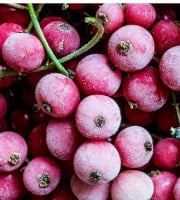 Le Domaine du Framboisier - [SURGELÉ] Groseilles égrappées en Sachet 1kg