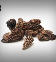 Boucherie Moderne - Morilles séchées