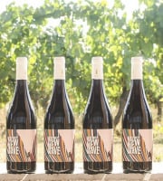 Domaine la Paganie - Vin rouge bio – Malbec New Wave – 6 bouteilles