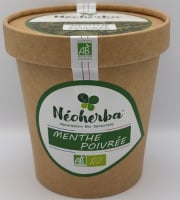Néoherba - Tisane Menthe poivrée