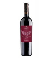 Château Balsamine - AOC Gaillac Rouge "Un ange passe" 2024 6x75cl