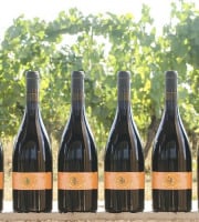 Domaine la Paganie - Vin rouge de Cahors élevé en amphore – La Terre – 6 bouteilles
