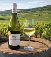 Domaine ROUX-GROS - Mâcon Villages "Terroir de Farges" 2023 - AOP 6x75cl