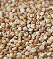 Mon Petit Producteur - Quinoa Bio [vendu Par 500 g]+