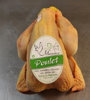 La Famille Mille - Le Maraudeur - Poulet Fermier Plein air, le gros, prêt à cuire, 2,3kg-2kg