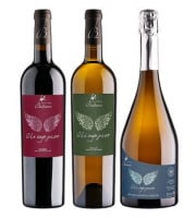 Château Balsamine - Lot AOC Gaillac “Un Ange Passe” – Château Balsamine – 2 Rouges, 2 Blancs, 2 Bulles – 6x75cl