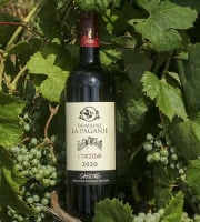 Domaine la Paganie - Vin rouge de Cahors élevé en Barrique - L'Origine 2020 - 1 bouteille