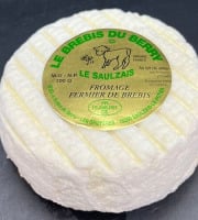 SCEA Brebis du Berry - Le Saulzais, fromage de brebis 300g