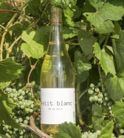 Domaine la Paganie - Vin blanc Bio - Petit blanc - 1 bouteilles