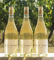 Domaine la Paganie - Vin blanc Bio - Petit blanc - 3 bouteilles