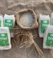 Canard des Rizières - Lot de 3 riz semi complet et 3 blanc