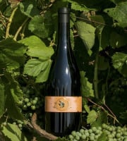 Domaine la Paganie - Vin Rouge de Cahors élevé en Amphore - LA TERRE 2023 - 1 bouteille