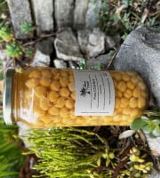 L'OLIVERAIE DU COUDON - Pois Chiches 540gr (en pot )