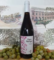 Cave Creuzet - Les Caves aux Caux - VSIG Rouge "Caux Antique" - Sans additif - Sans sulfites ajoutés