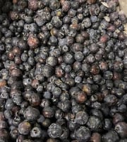 Myrtilles du Trimoulet - Myrtilles cultivées congelées - 5 Kg