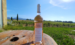 Domaine Les Conques Soulière - Vin Rosé Fruité IGP Méditerranée