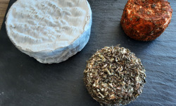 Gourmets de l'Ouest - Petit plateau découverte fromages fermiers