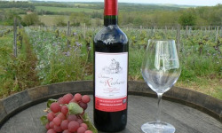 Château des Rochers - Vin rouge AOC Castillon-Côtes de Bordeaux 2017