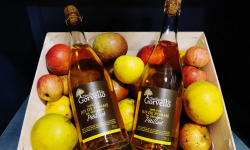 Distillerie du Gorvello - Jus de Pomme Bio  "Pétillant" x6