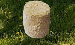 Fromagerie des Gors - fromages de chèvre très affinés