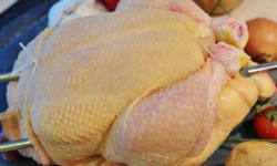 La Coussoyote - Jeune poulette de chair entière PAC - 1,2kg