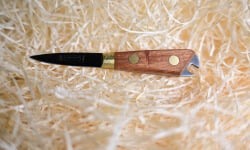 Thalassa Tradition - Couteau à huîtres