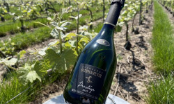Champagne Stéphane Fir - Champagne Prestige - 6 X 75 Cl