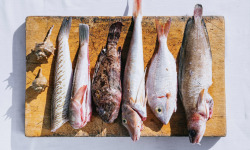 Côté Fish - Mon poisson direct pêcheurs - Poisson Bouillabaisse