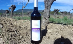 Domaine Les Conques Soulière - Agarrus Vin Rouge IGP Méditerranée
