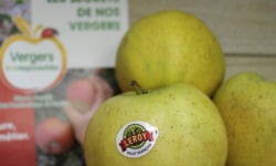 Le Châtaignier - Pommes Chantecler - 1kg