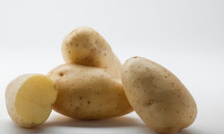Maison Bayard - Pommes de terre Monalisa - 12.5kg