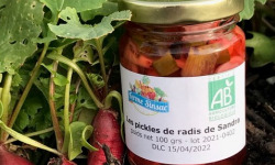 Ferme Sinsac - Pickles de Radis Bio - 100 g