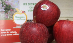 Le Châtaignier - Pommes Gala - Colis 4kg