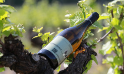 Domaine Daridan - "L'improbable" Vin Blanc - Romorantin - 2012