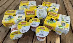 Ferme du Moulinet - 24 yaourts étuvés au lait frais entier de la ferme*125g - arômes naturels de citron