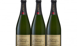 Champagne J. Martin et Fille - Brut Tradition - 3x75cl