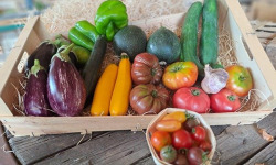 Les Jardins de Gérard - Panier légumes de saison Bio - 6 kg