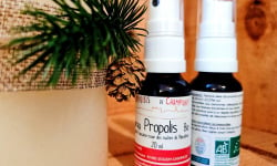 Les Butineuses de Champigny - Spray Propolis Bio