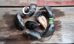 Camargue Coquillages - Moules De Camargue Nettoyées - Agriculture Biologique - 1kg