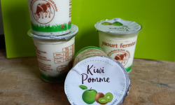 Ferme Chambon - Yaourts Au Lait Cru Et Aux Fruits (pomme-kiwi) X12