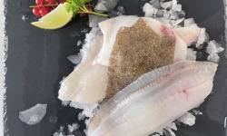 Notre poisson - filet de barbue avec peau 1000gr