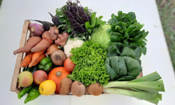 Jardin de Durance - Panier de légumes de saison BIO - 10 kg